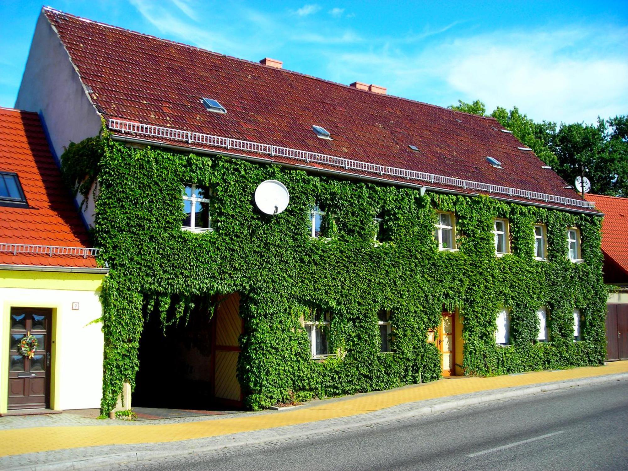 Ferienwohnung Auf Ehem. Alten Bauernhof Liebenwalde エクステリア 写真